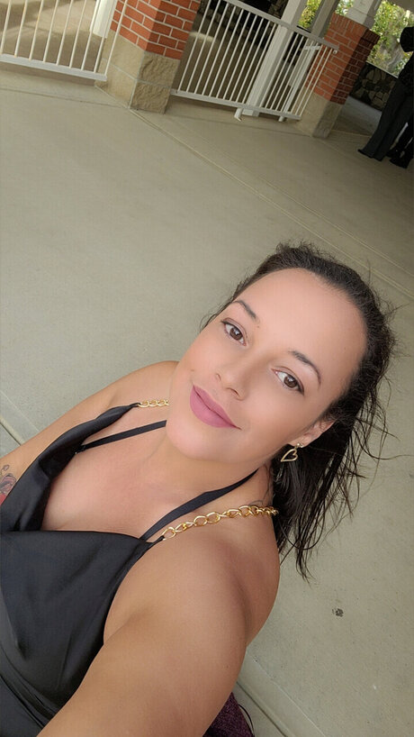 Silky art pornstar galleries