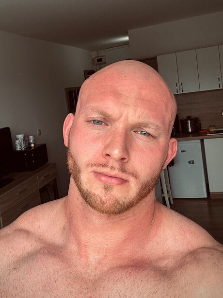 Adamski hot pornstar image