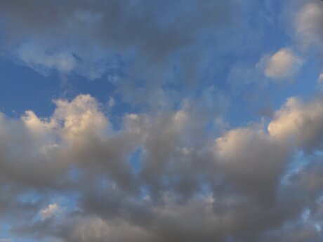 Loring star nude picture