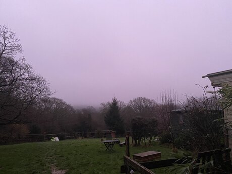 Crudedudefood model adult photo