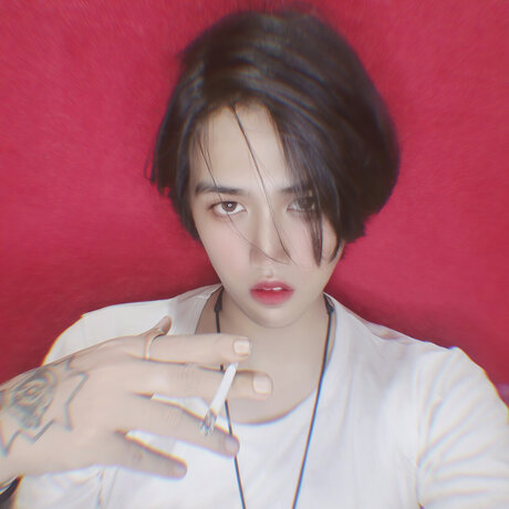 Lei Tao pornographic model image