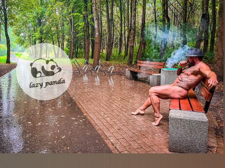 Lazy Panda high quality star photo