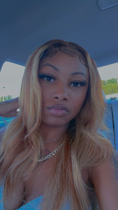 Le Munchkin beautiful star picture