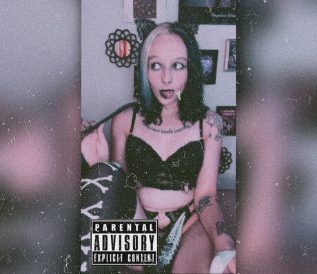 Your personal Bunni model top pics