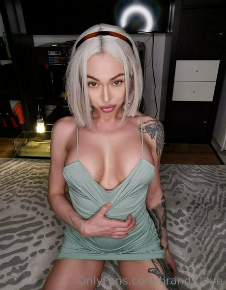 brandy love star high quality img