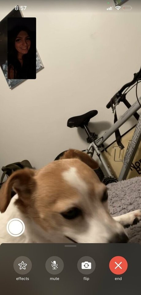 rockinrach xxx star pics