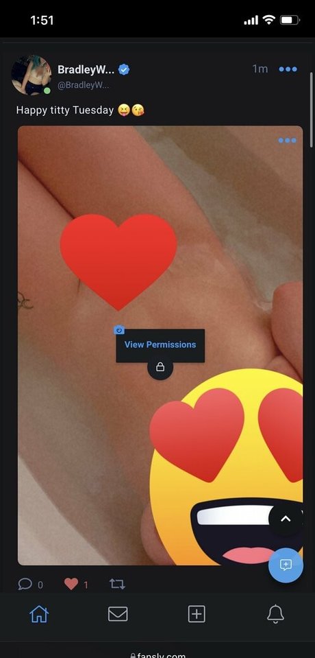 bradleywright star art archive