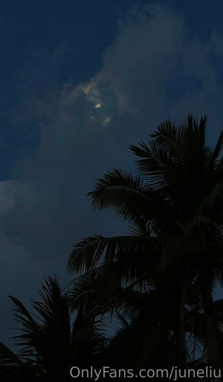 juneliu star top photo