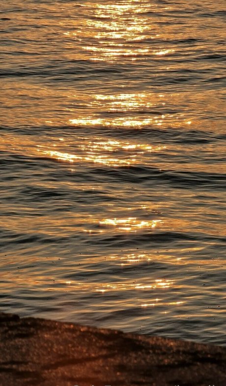 stockings onlyfans free photo