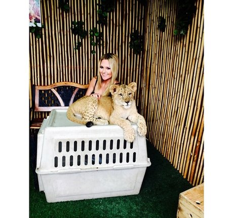 Amber BeIarski pornstar perfect gallery