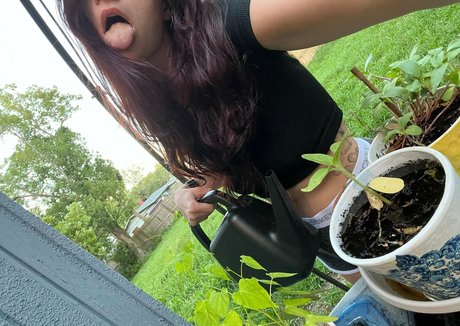 littlered08 hot pornstar image