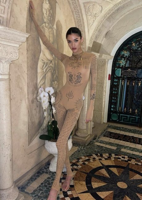 Dani Carbon star free photo