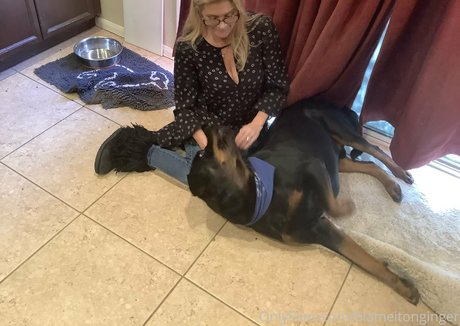 blameitonginger Profile pic