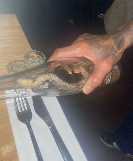 Linea Sindt best pornstar gallery