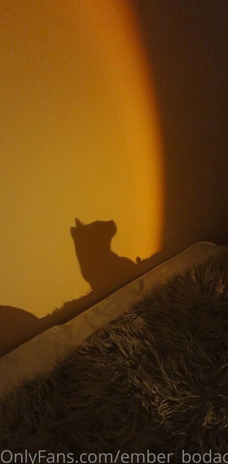 ember bodacious adult model images