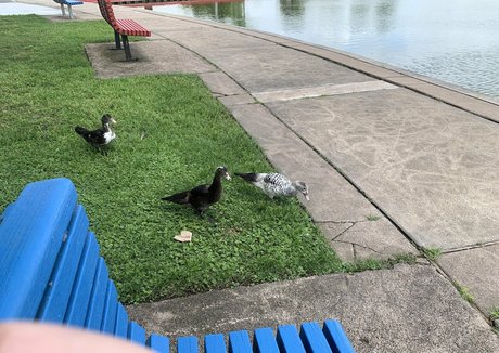 bunnycocoa pornstar hd pic