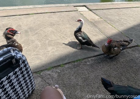 bunnycocoa exclusive actress pic