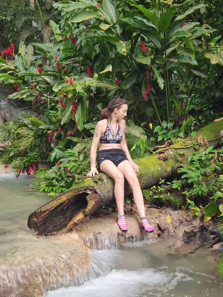 _h t g mpr_ star perfect pictures