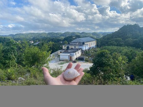 _h t g mpr_ art model pictures