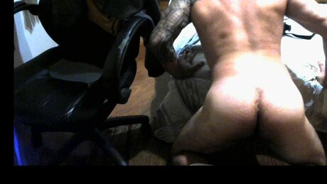 PRETORIAANO star perfect galleries