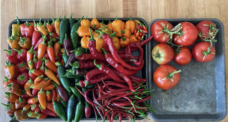 GardenPapi model nude pictures