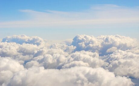 Stella Francis TS_ pornstar nice pictures