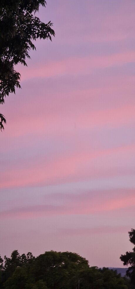 Holla Nola pretty actress picture