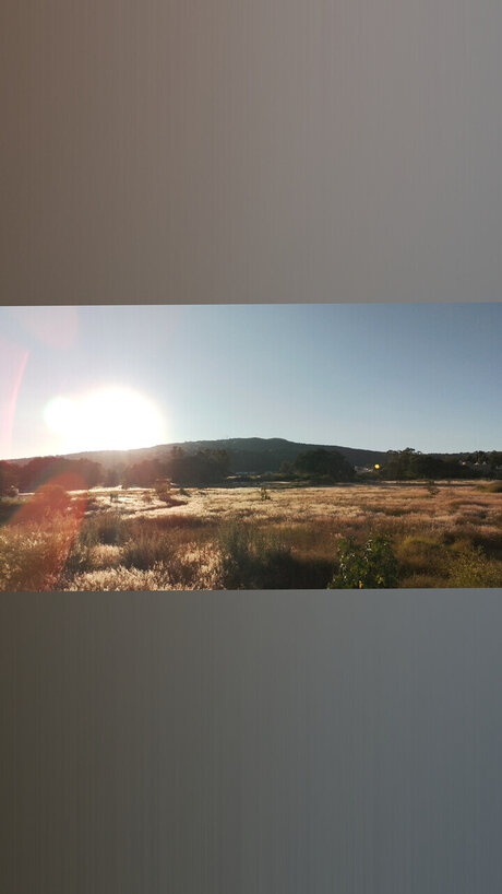 Jos Buenrostro nude star image