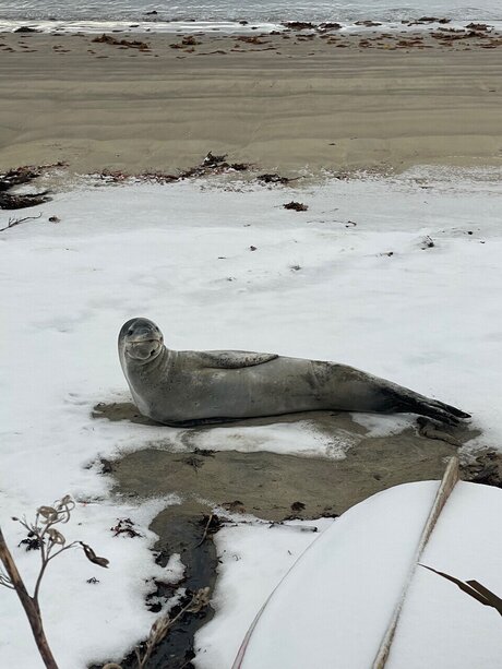 u389531284 free pornstar gallery