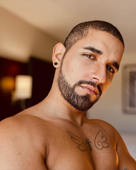 Regaddo Edd perfect star picture