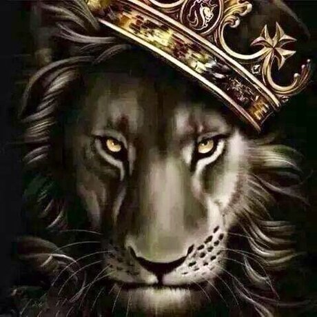 dominic steele model sexy photo