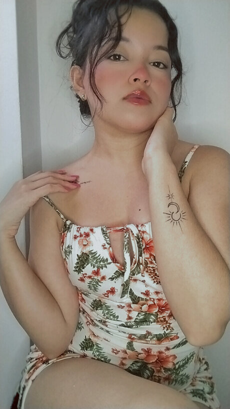 Ang lica c art star galleries