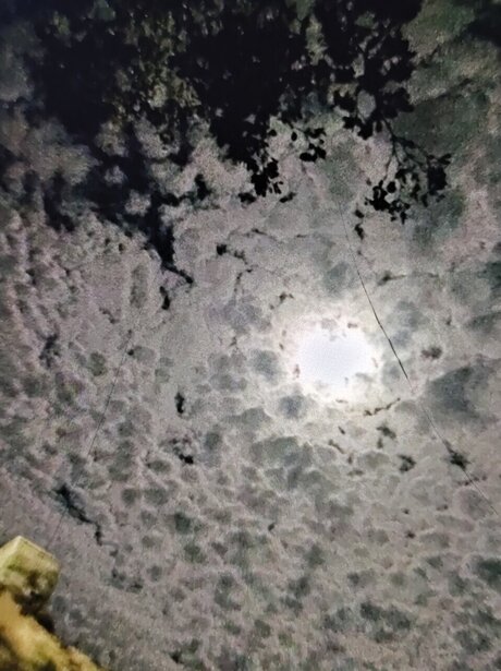 Hellie_ star high quality gallery