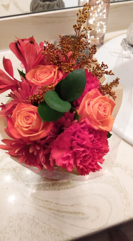 HoneyPot best model picture