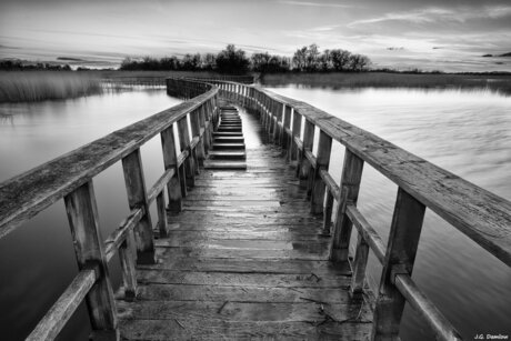 the masked girl star nude image