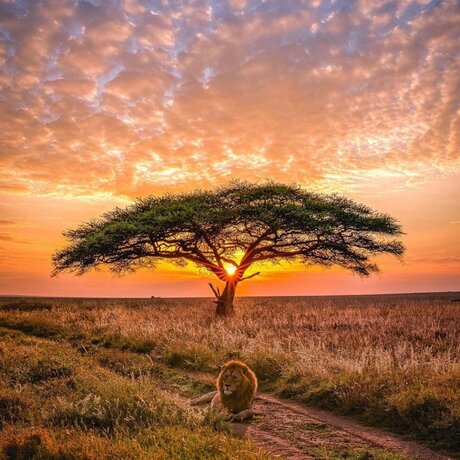 King Rah22_ model sex pics