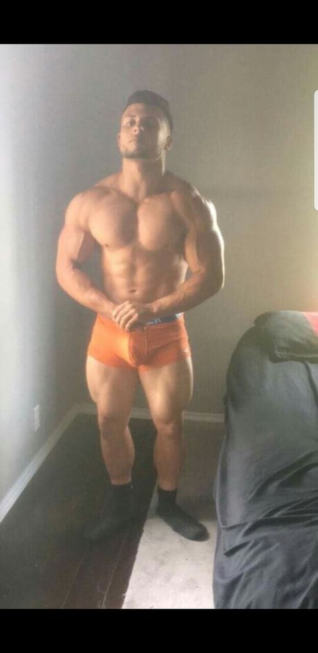 Portuguese Stallion perfect model img