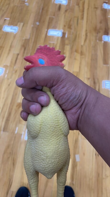 Froggy nice model img