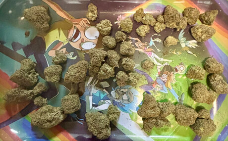 Dat Guy Remy Monty model adult pics