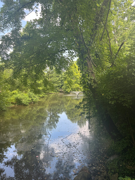 The Gold Goddess sex star images