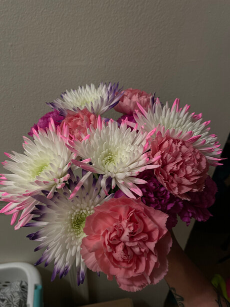 Alana hope_ hd model archive