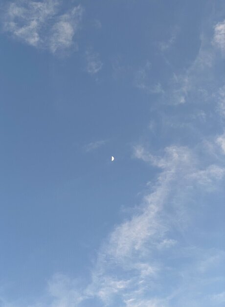 Lobito star high quality archive