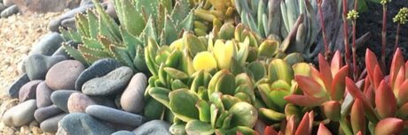 Nova Grace pornstar beautiful gallery