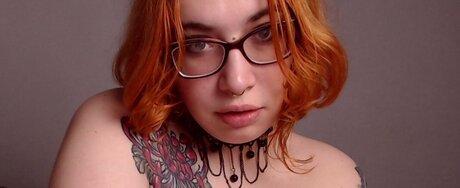 DM 0 model top images