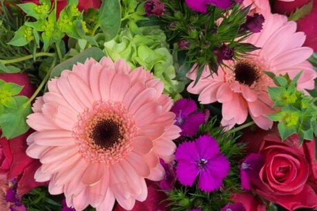 Kandyy_ pornstar pretty img