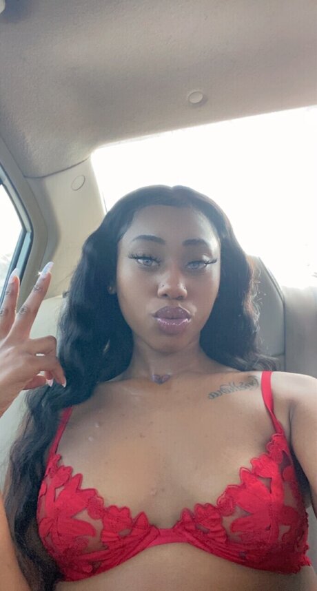 Fyeredd star top gallery