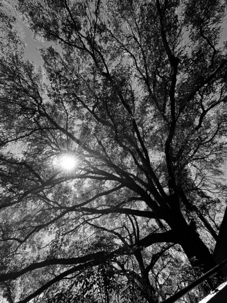 retr04ctive pornographic actress picture