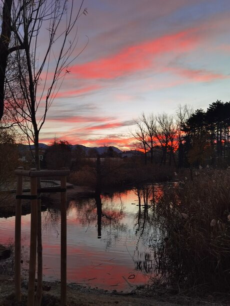 BlueGirl nice star galleries