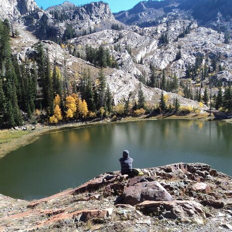 OliverGray star free gallery