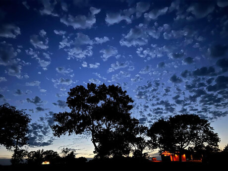 SnoBaby model adult img